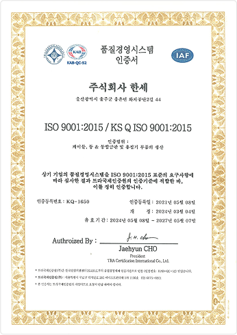 ISO 9001